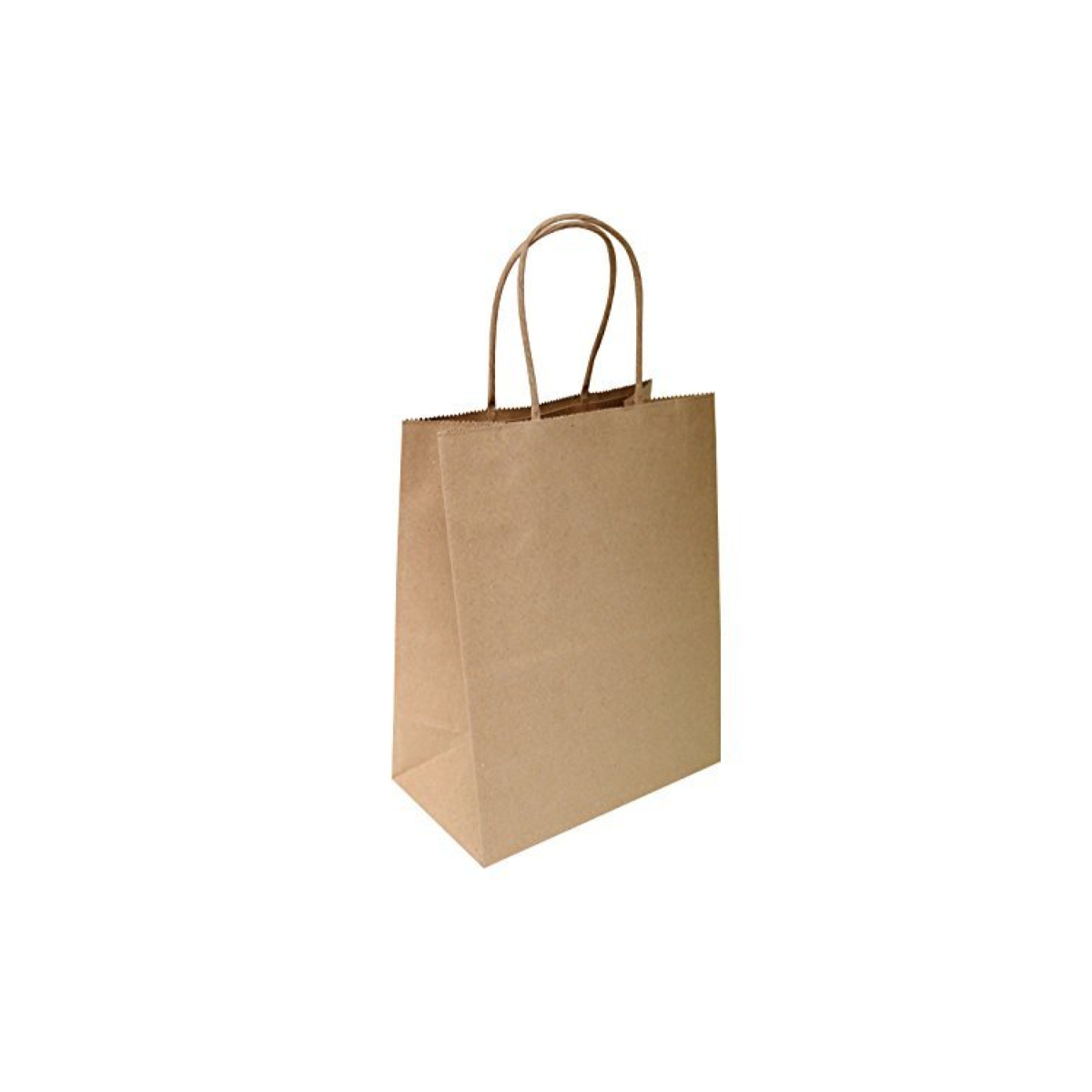 Paper Handle Bags